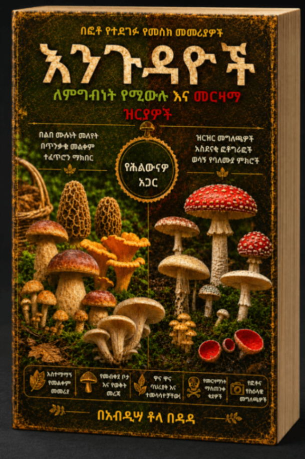 Your Mushroom Identification and Survival Guide