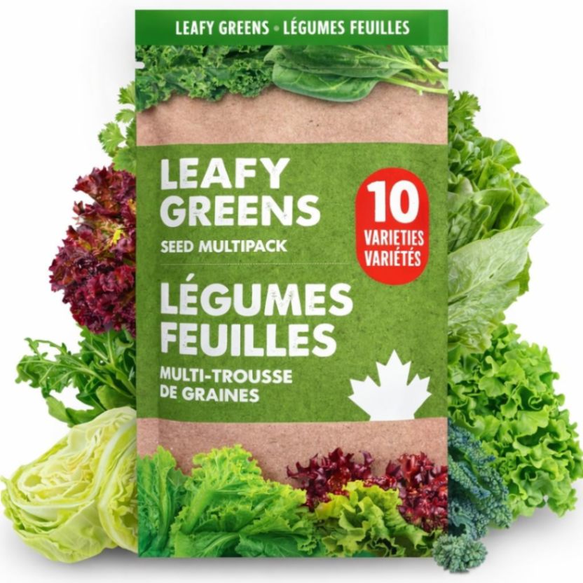 Leafy Greens Variety Pack – Hydroponic/Indoor/Outdoor. Heirloom Lettuce Seeds, Spinach Seeds, Arugula Seeds, Kale Seeds and More | Oh! Canada Seeds | Seeds for Planting