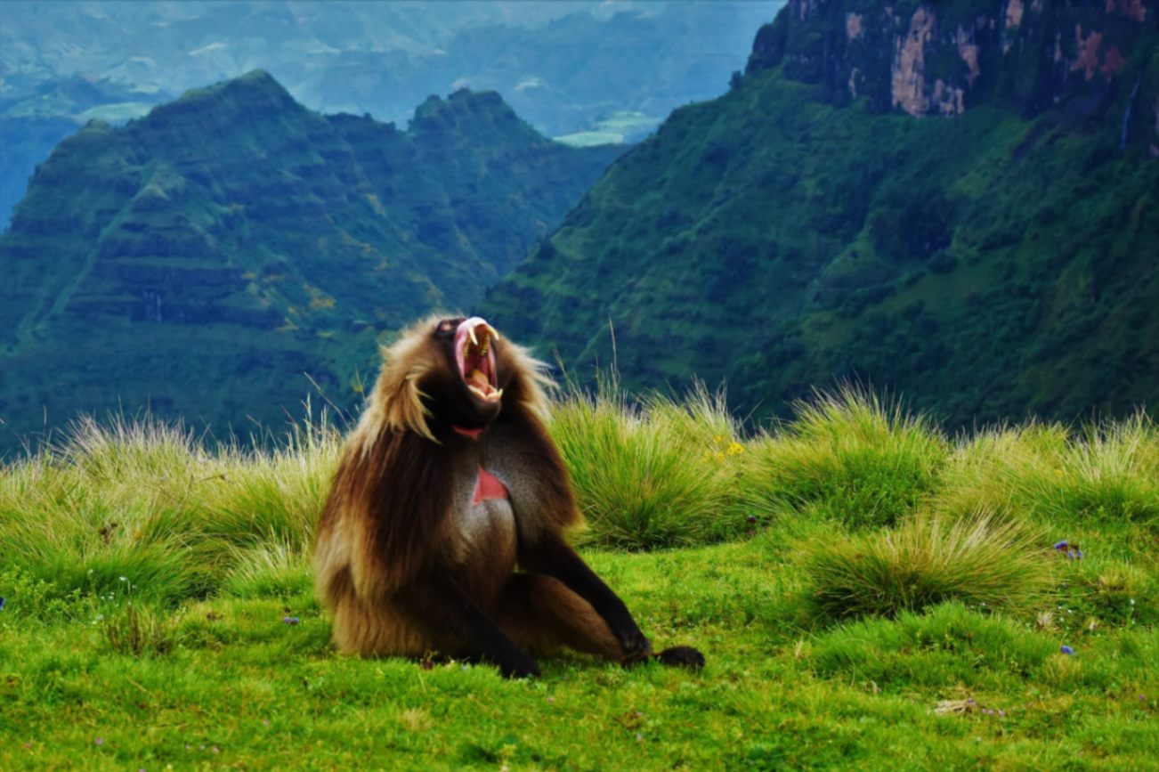 Simien Mountains