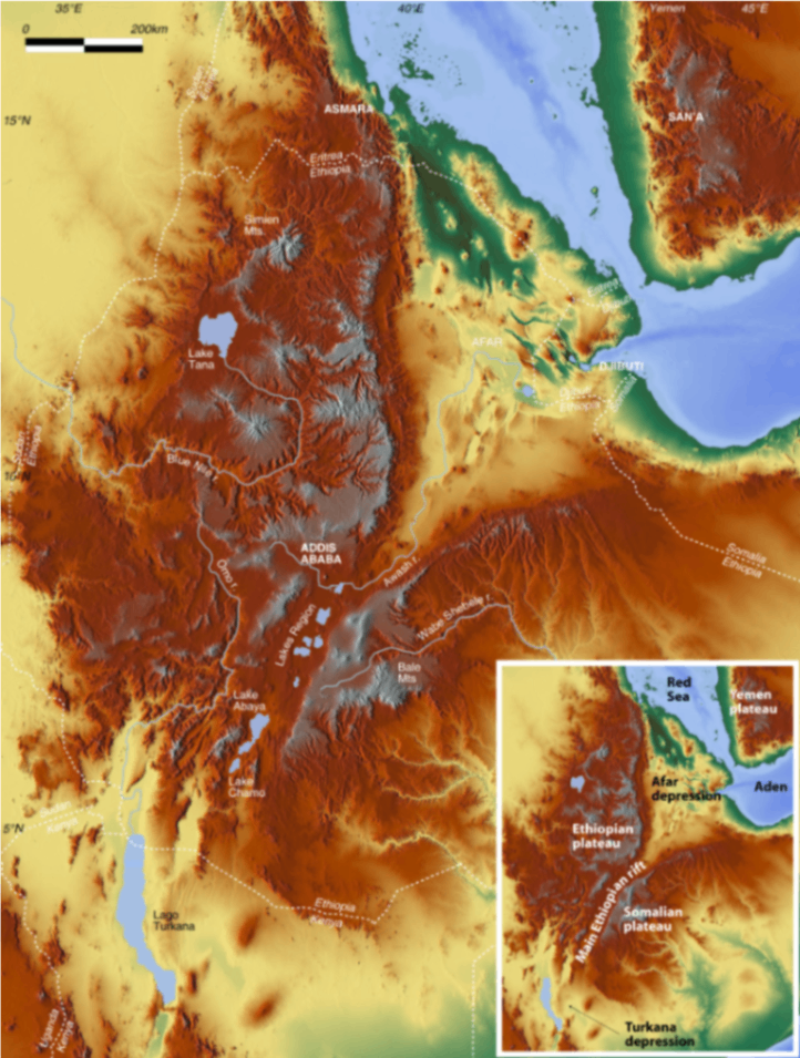 The Afar Lowlands | The Tectonic Cradle | ECOLOGICAL ZONE · RIFT VALLEY DEPRESSION