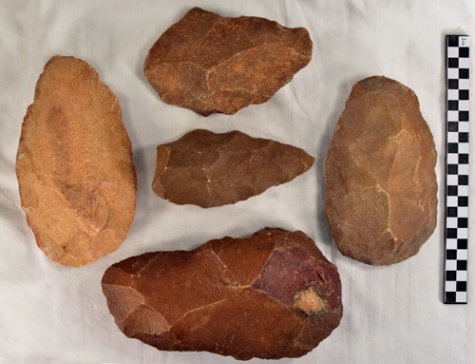 Gona Stone Tools | ARCHAEOLOGY · THE BIRTH OF TECHNOLOGY