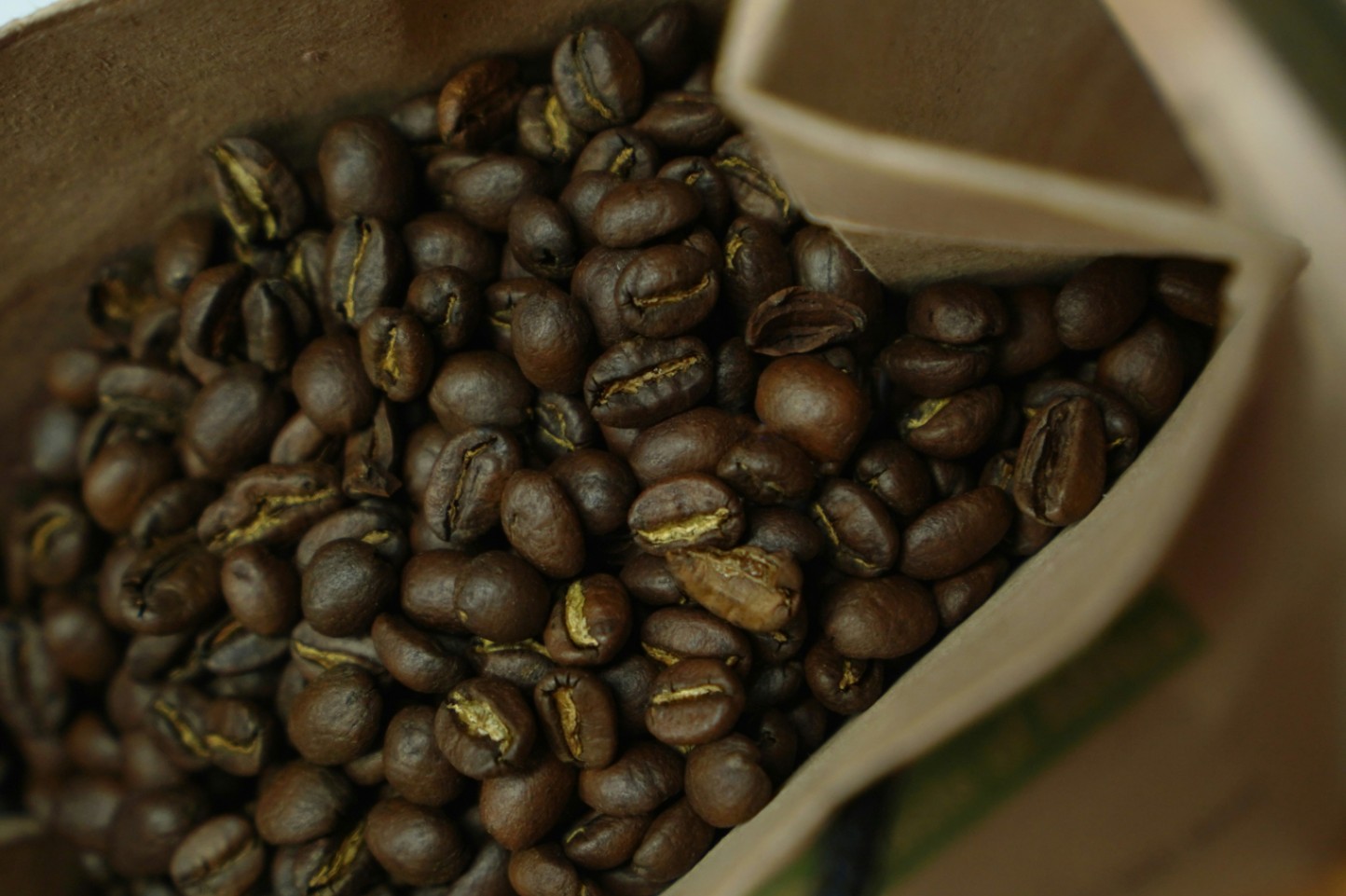 Birthplace of coffee
